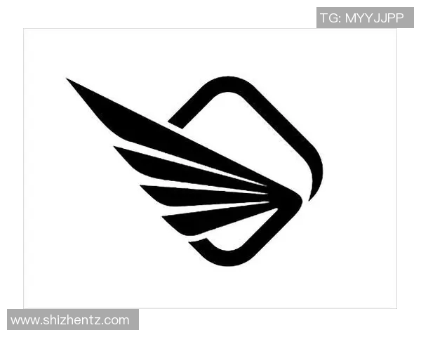 篮球明星个性化LOGO设计探讨与品牌形象塑造的深度分析